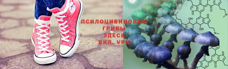 где купить наркоту  мега ссылки  Галлюциногенные грибы Magic Shrooms  Нестеров 